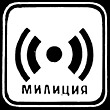 dimka3366